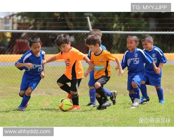 家里没有足球的日子如何打发时间与培养其他兴趣